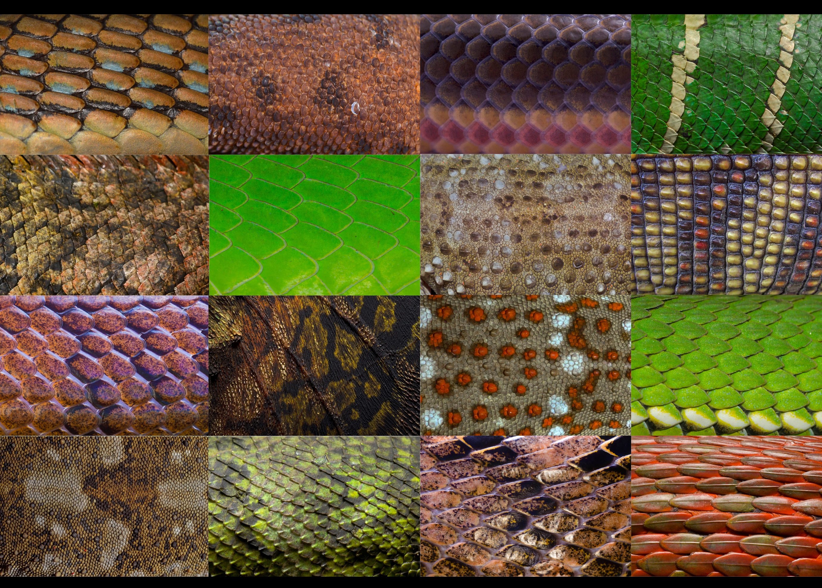 patterns-01 – BioGeoSys
